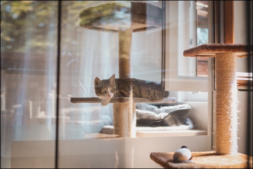 1187A386-1B46-45FB-BC23-69130CC693C5 (1)