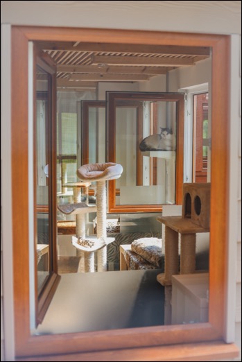 121C70EB-1977-456F-94B5-92BC8C1C03E6