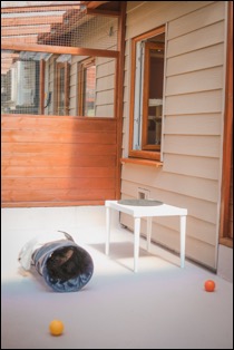 6885BD2F-3E78-4FB9-A026-18EE944EB800