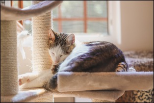 99EE71EA-05C4-4648-9BC2-5ADBDC09CC3A