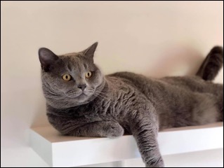 246596923_555995362130563_4362103525952606504_n