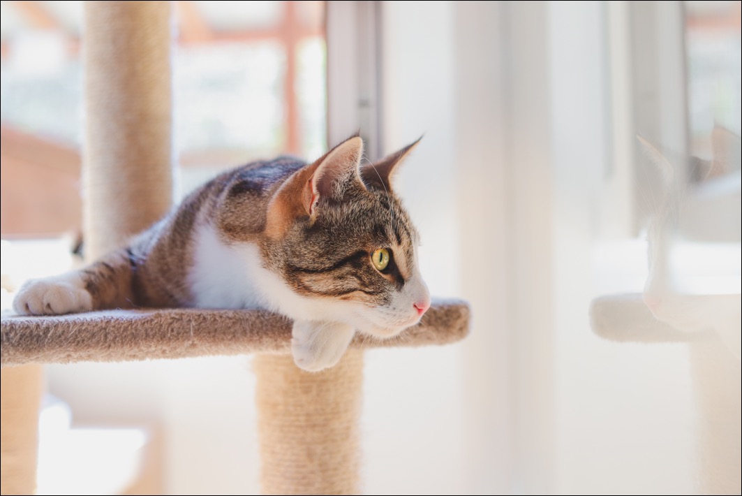 8C8230E4-D8F8-4E59-8357-D0398E708BB5